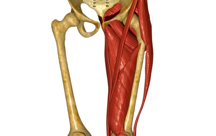 IT band friction syndrome is one of the most common sports injuries.